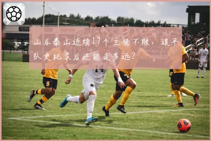山东泰山连续17个主场不败，追平队史纪录后还能走多远？